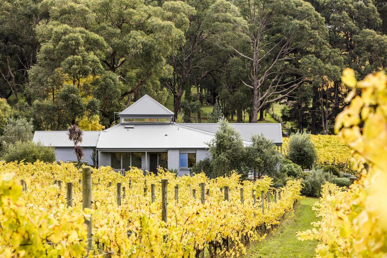 Polperro Villas Red Hill Kültér fotó